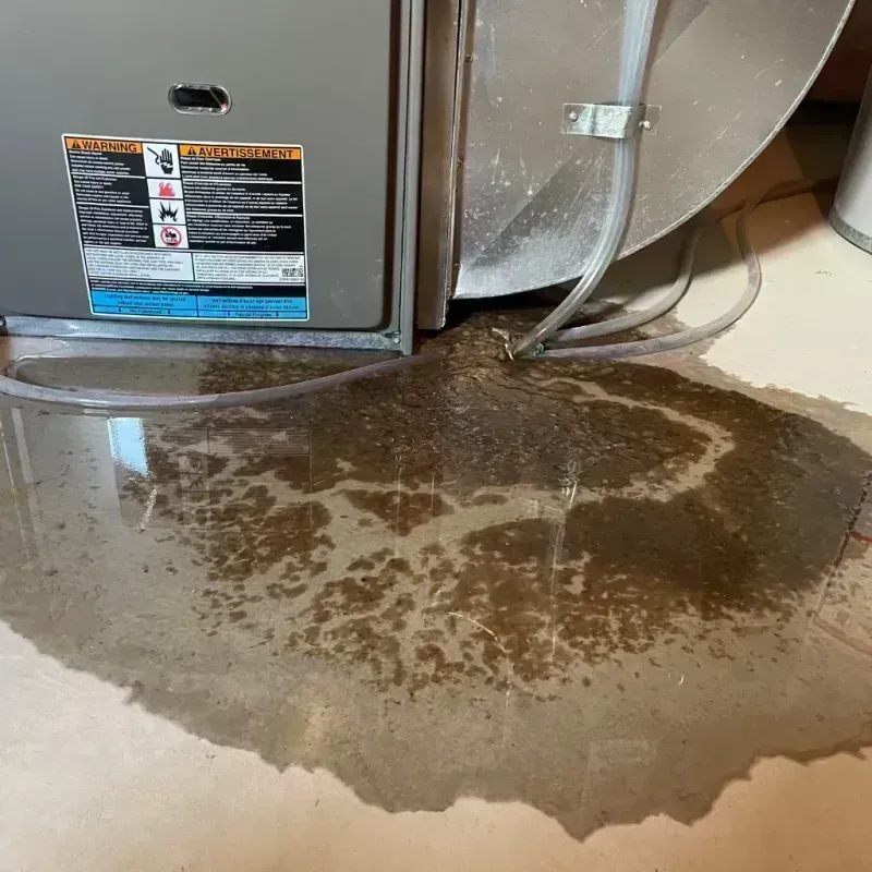 Appliance Leak Cleanup in Parker County, TX